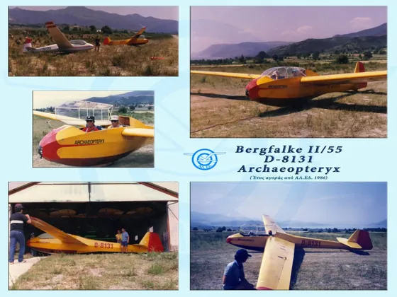 The Bergafalke II/55 Glider, Archaeropterix