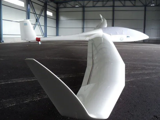 Duo Discus Xlt (FACT) Glider Airport Arrival